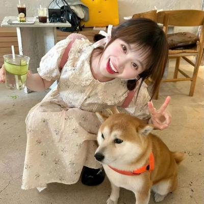 金粉帝后