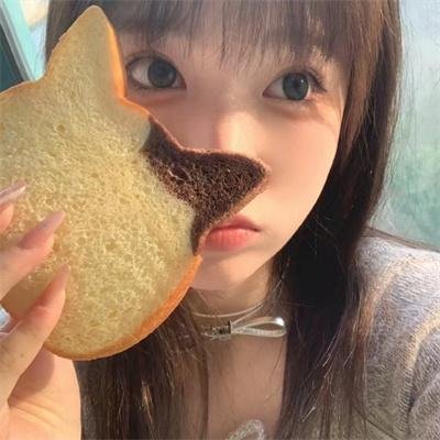 金牌贱猫：重新出击
